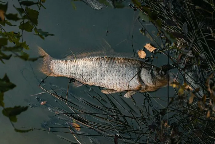 50 Science Facts So Terrifying, You May Wish You Never Learned Them
