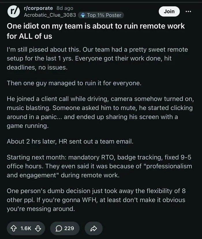 A Reddit post about corporate absurdity, detailing how one remote worker ruined flexible work for everyone with poor professionalism.