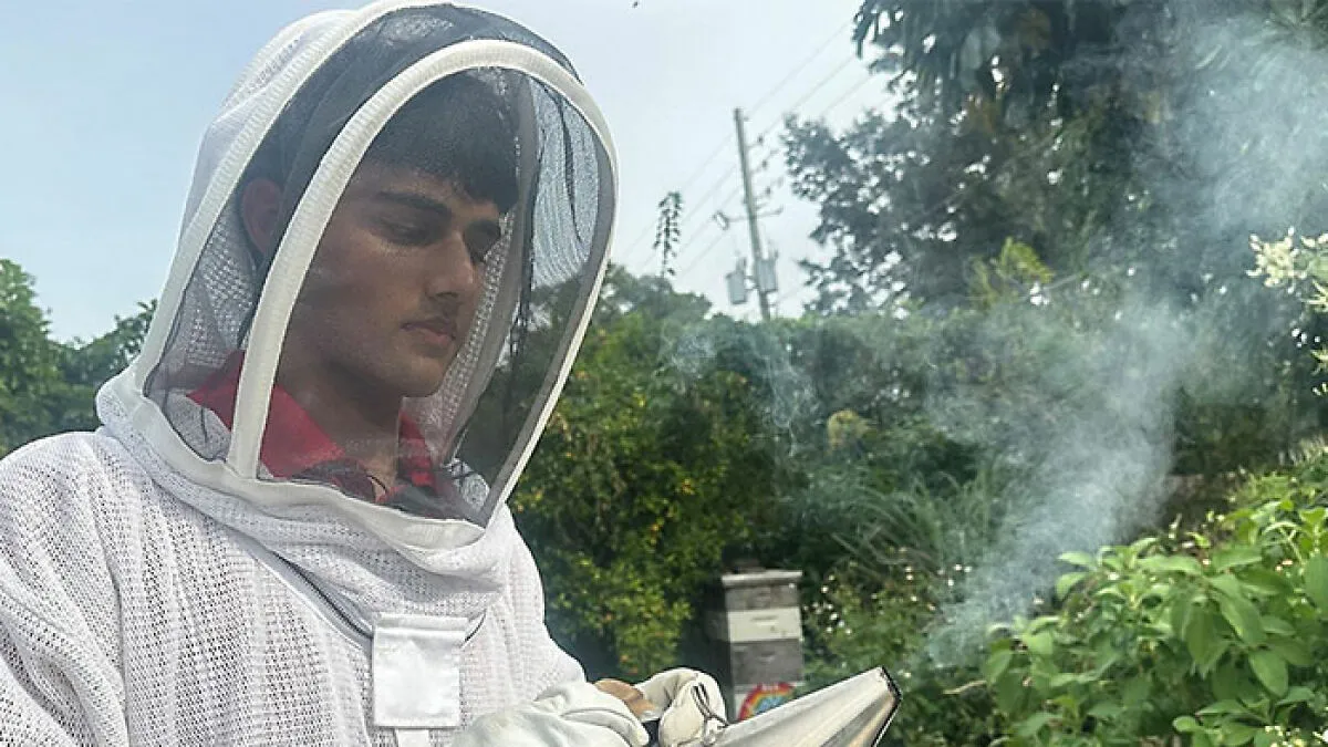 Florida Teenager Invents Amazing Bee-Saving Device That Dramatically Increases Honey Production