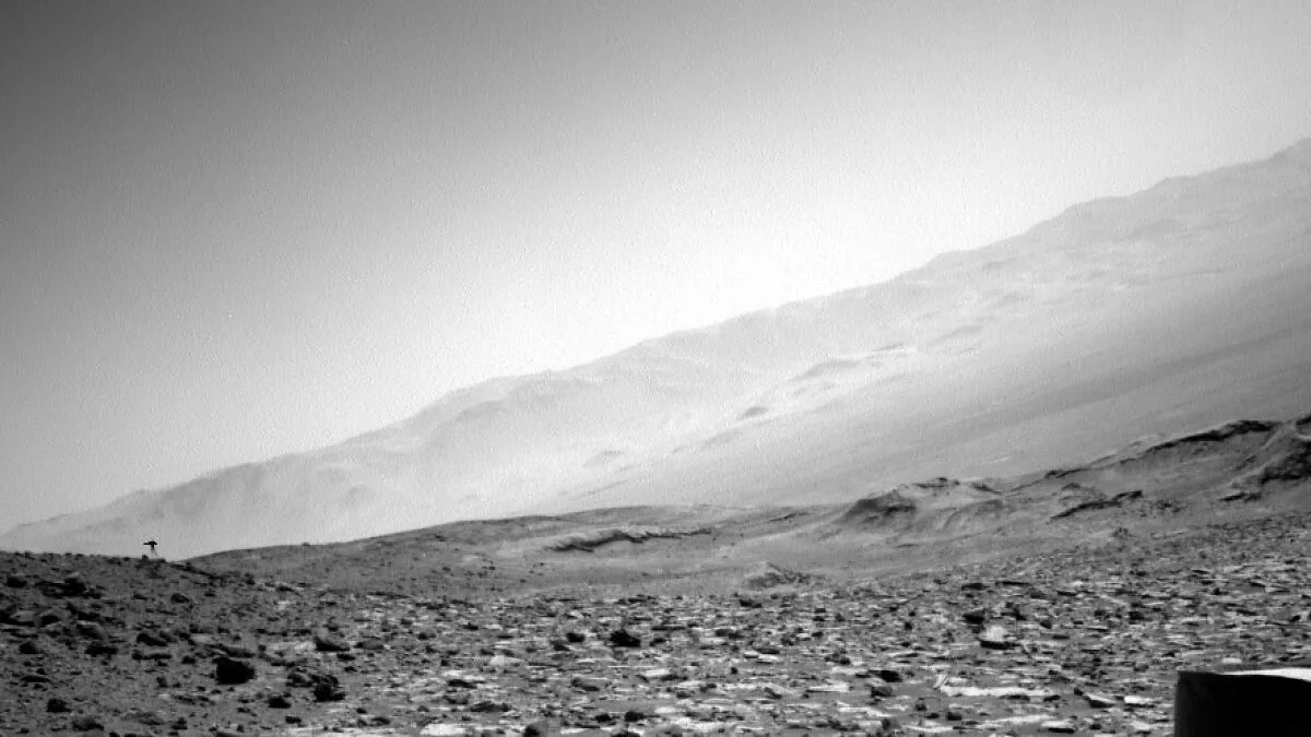 "Jellyfish" Spotted In NASA Mars Photo Sparks Frenzy As People Dig For Explanation