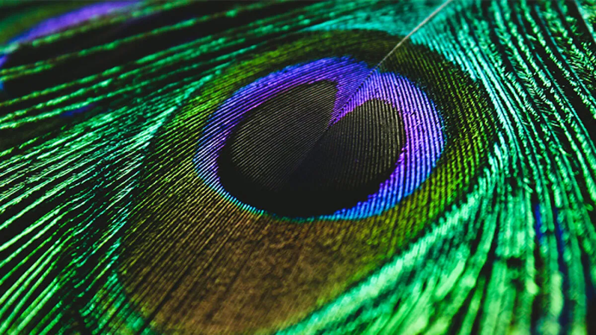 Scientists Have Found A Way To Show Humans A New Color Called "Olo," But Only Five People Have Ever Seen It