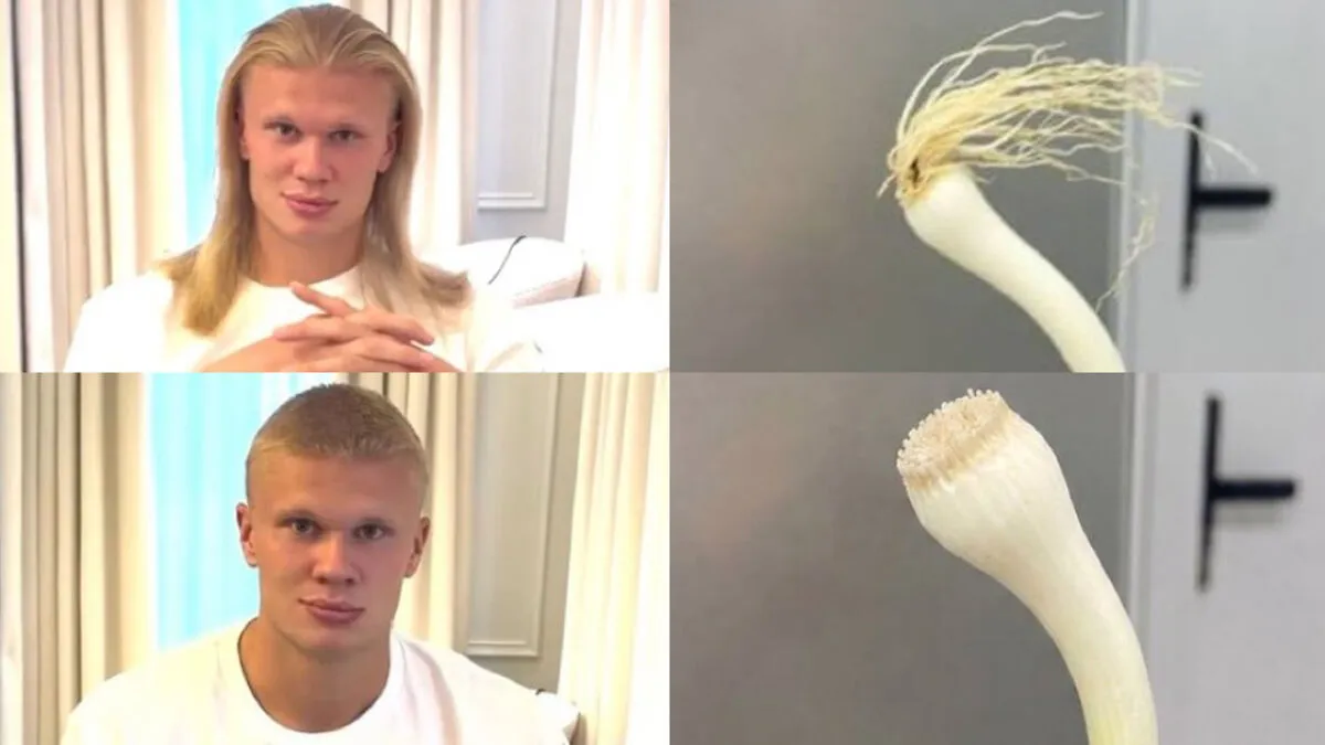 World Cup Hero Erling Haaland Sent Internet Into A Meltdown By Cutting Off Iconic Locks, Here Are The Memes