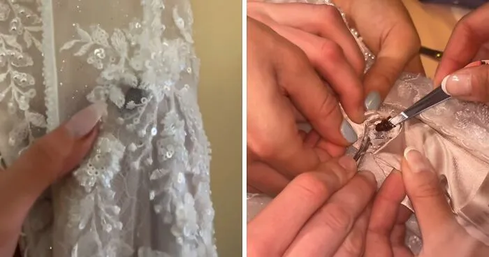 "That Is Witchcraft": Bride Receives Foreboding Warning After Revealing What Tailor Sewed Into Her Wedding Dress