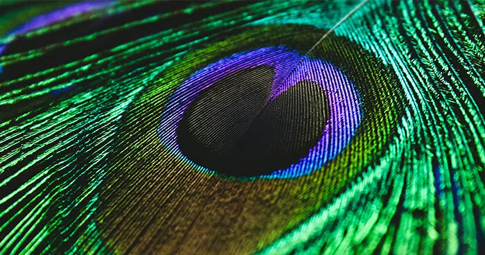 Scientists Have Found A Way To Show Humans A New Color Called "Olo," But Only Five People Have Ever Seen It