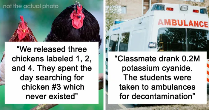 Someone Asked Students To Share Their Most Insane Experiences, And These 57 Get Top Marks