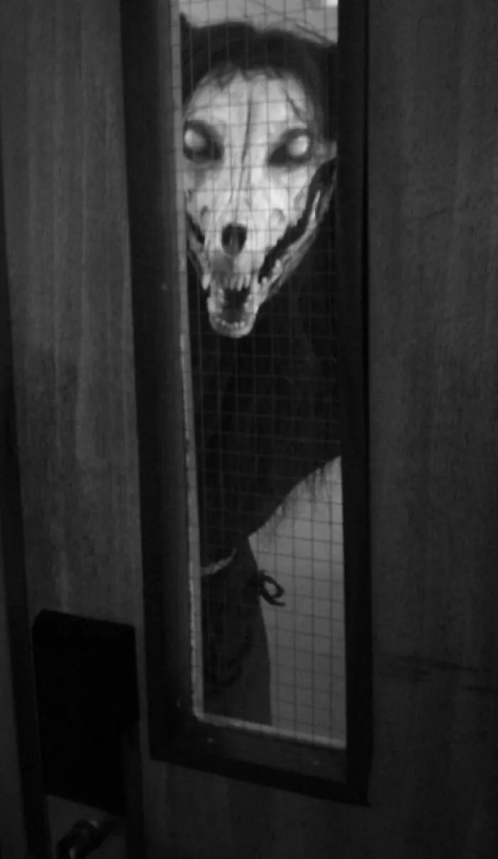 Unsettling photos of a creature with a skull-like face and glowing eyes peering through a gridded window.