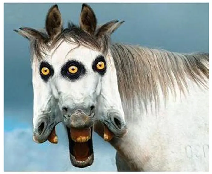 Unsettling photos and pictures of a white horse with three sets of eyes and two mouths.