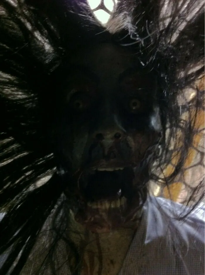 A frightening close-up of a monstrous face with wide eyes and open mouth, among unsettling pictures.