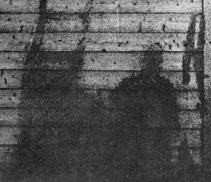 Hiroshima Shadows