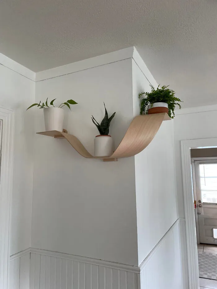 Curved Shelf Experiments