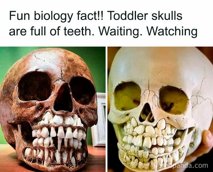 Cursed_skull