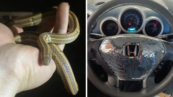 55 Clueless People That Could Be Nominated For Darwin Awards (New Pics)
