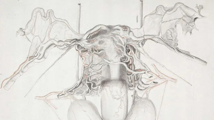 Fumigating The Uterus