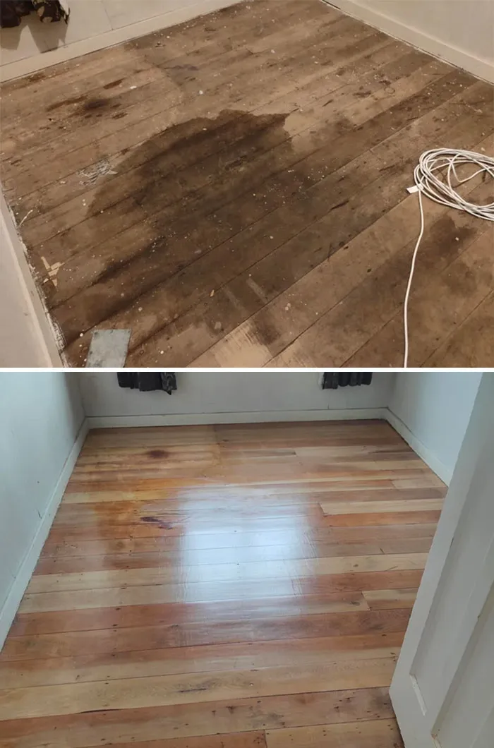 Ripping Up Carpet In Old Houses Is A Lottery I Just Won