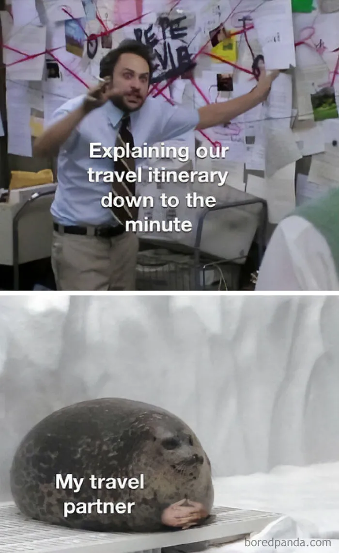 Travel Memes That Capture The Chaos Of Going On Vacation