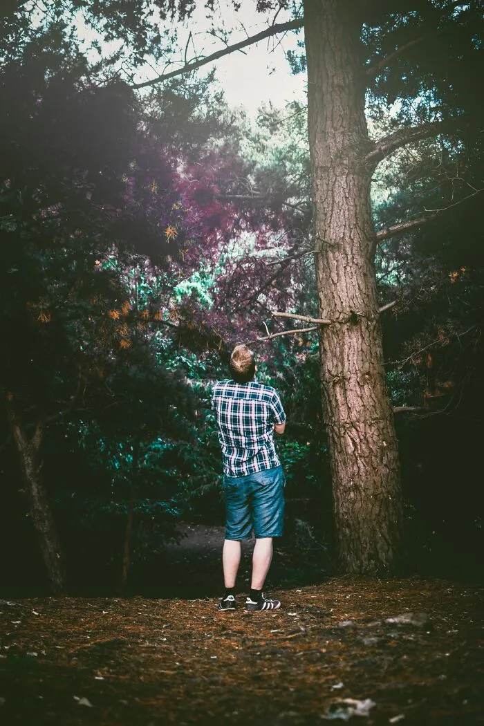 A man standing in a forest, looking up at trees, reminding Americans to be respectful when they visit other countries.