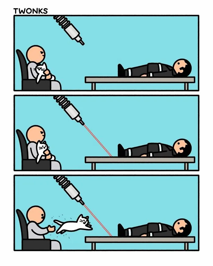 23 Delightfully Funny Cat Comics By Steve Nelson To Make Your Day Better