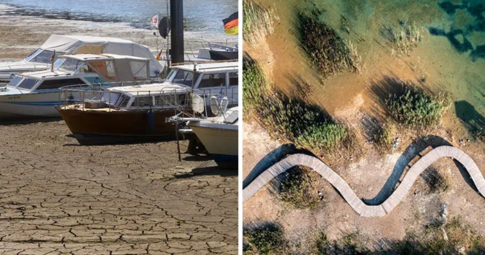 Is Europe’s Drought Really That Bad? These 24 Alarming Photos Say It All