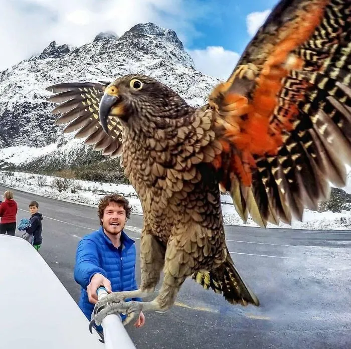 This Community Shared 50 Funny Animal Photos That Could Easily Win A Comedy Award