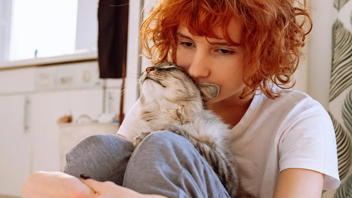 “I Don’t Actually Intend To Give Any Compensation”: Homeowner Says Free Lodging Is Fair For Cat Care