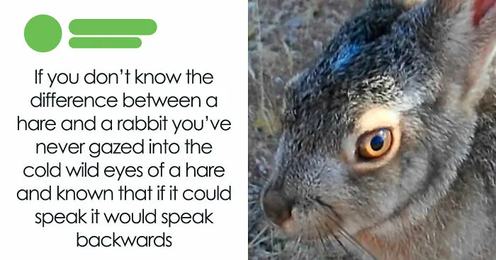 47 Funny Tumblr Posts That Deserve To Be Seen By Those Who Never Used It