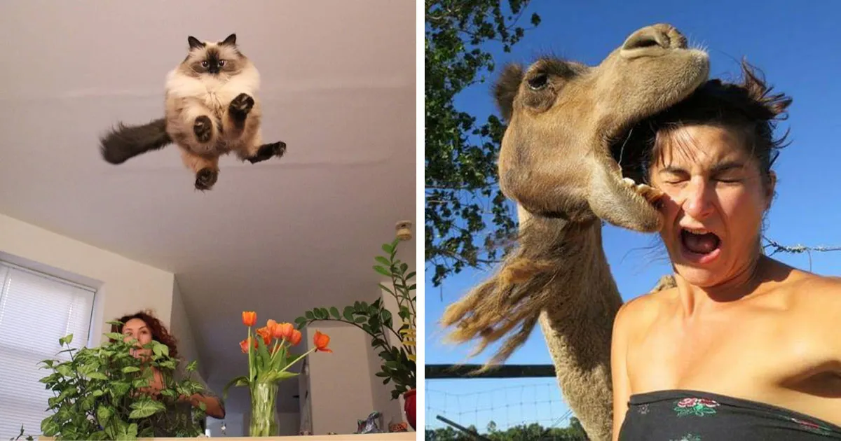 50 Fotos tiernas y divertidas de animales que pueden alegrarte el día en un instante