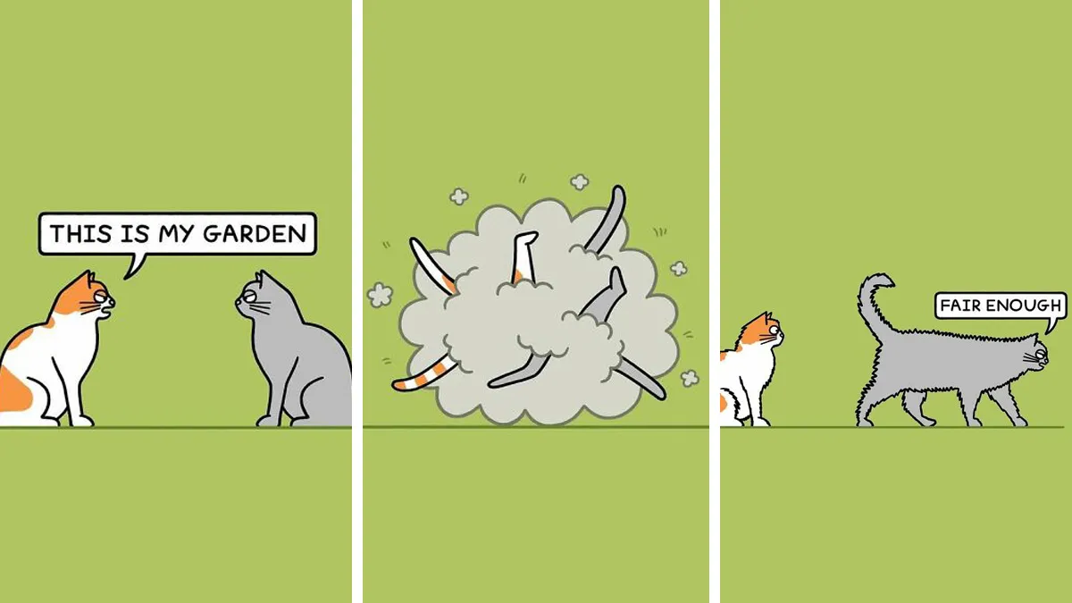 23 Delightfully Funny Cat Comics By Steve Nelson To Make Your Day Better