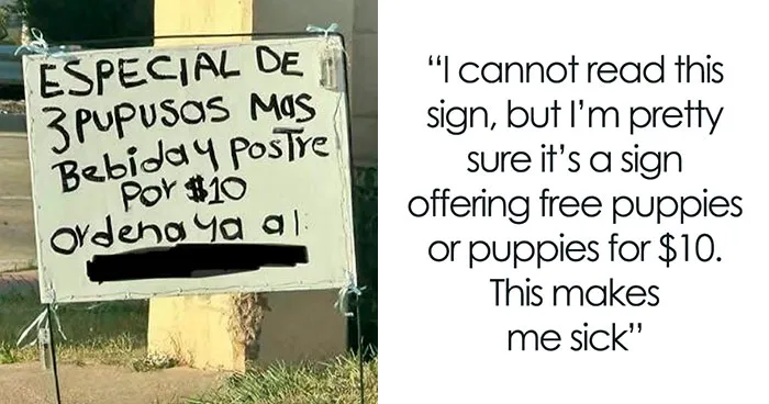 63 Times People Were So Confident, Only To Be Embarrassingly Wrong (New Pics)