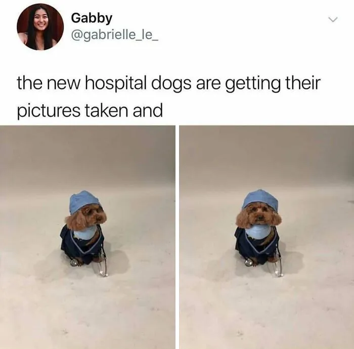 95 Funny And Relatable Medical Memes That Might Be Just What The Doctor Ordered