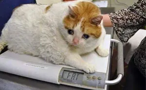 95 Funny And Relatable Medical Memes That Might Be Just What The Doctor Ordered