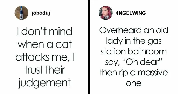 The Summer Is Ending But These 73 Funny Tweets Are Here To Keep Up The Good Mood (August Edition)