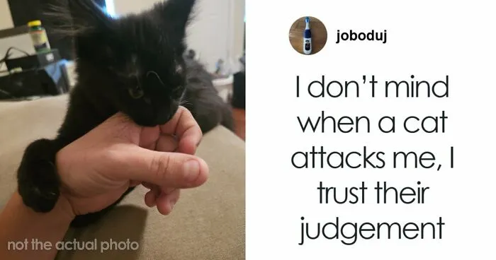 The Summer Is Ending But These 73 Funny Tweets Are Here To Keep Up The Good Mood (August Edition)
