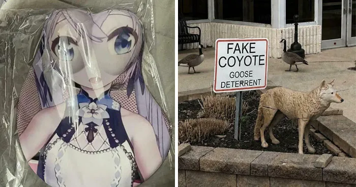 “How Do You Mess Up This Bad”: 81 People Who Had One Job Yet Managed To Still Fail (New Pics)