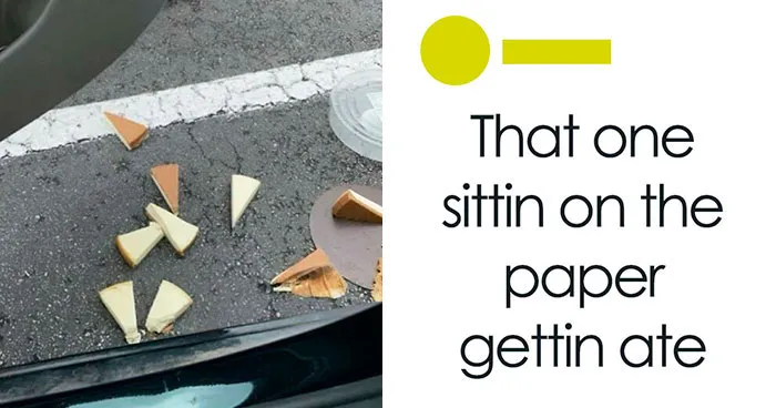 “A Literal Brain Fart”: 55 Chaotic And Funny Memes That Have No Business Being This Relatable