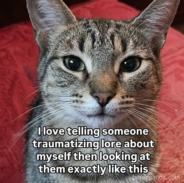 68 Memes For Anyone Who Needs A Break From Whatever They're Supposed To Be Doing