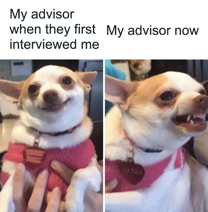 82 Memes That Might Convince You To Not Get That PhD If You’re Still On the Fence