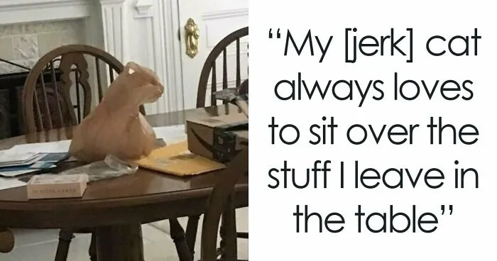 80 Confusing Pics With Misleading Headlines That May Melt Your Already Exhausted Brain