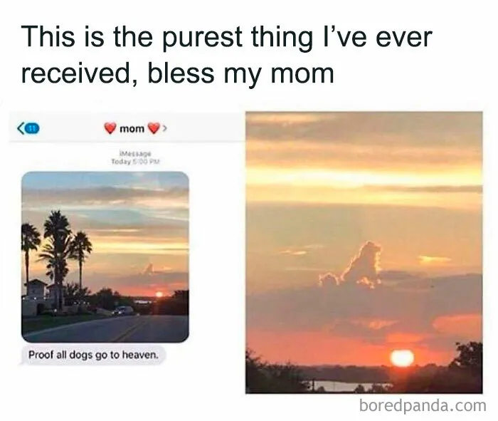 77 Hilarious Memes That Might Be The Reason Why You Go To Bed In A Good Mood Tonight