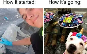 77 Hilarious Memes That Might Be The Reason Why You Go To Bed In A Good Mood Tonight