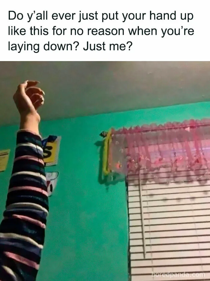 77 Hilarious Memes That Might Be The Reason Why You Go To Bed In A Good Mood Tonight