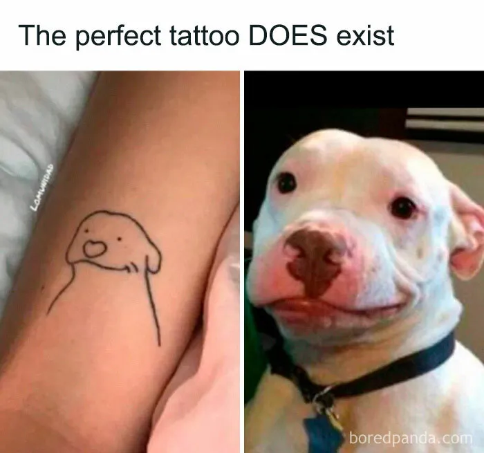 77 Hilarious Memes That Might Be The Reason Why You Go To Bed In A Good Mood Tonight