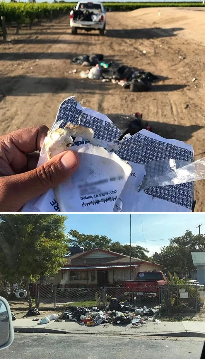 One Of The Best Revenge Against Waste Dumper