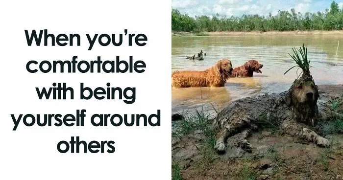 79 Funny Animal Memes To Turn Your Day Around