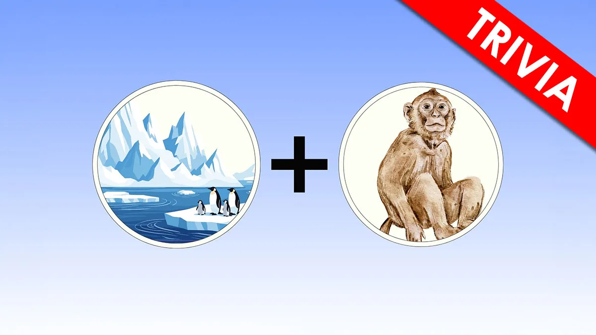 "Think You Know Music? ": Try To Decode These 20 Band Pictograms To Prove It