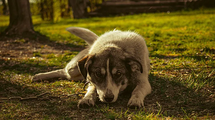 56 People Confess The Sweet Little Secrets Nobody In Their Lives Knows About