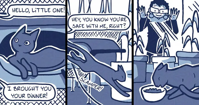 Artist Captured The Real-Life Story Of Adopting A Stray Cat In Funny, Heartwarming Comics