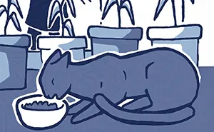 Artist Captured The Real-Life Story Of Adopting A Stray Cat In Funny, Heartwarming Comics