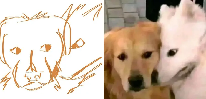 Image Of Two Dogs Where They’re Like This