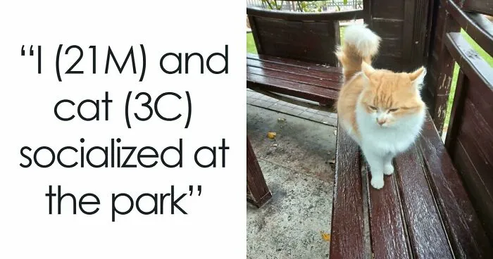 77 Photos That Have Nothing Remarkable About Them And Have No Business Being This Entertaining (New Pics)