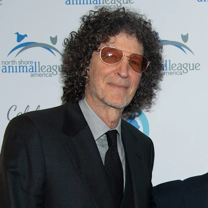The Howard Stern Audio Incident (2008)